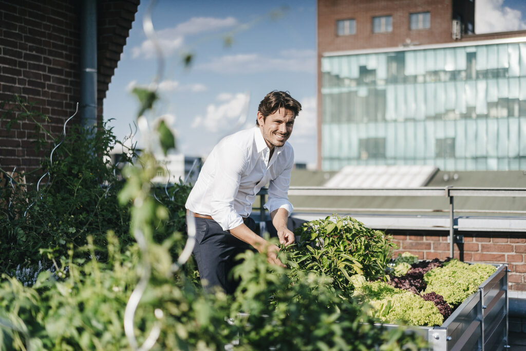 What are the 5 Most Popular Green Jobs?