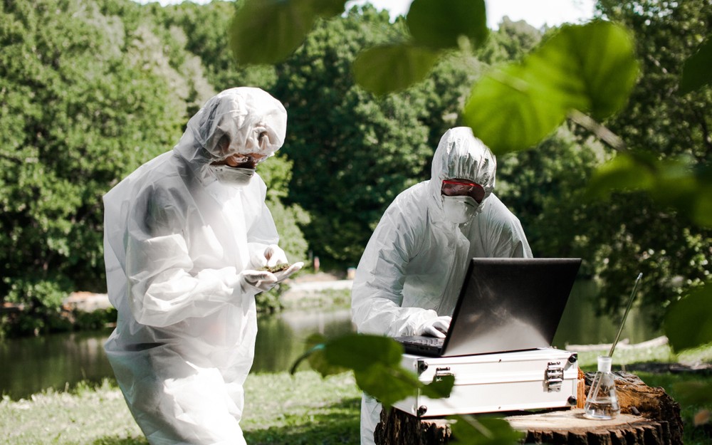 Top 5 Job Boards to find jobs in sustainability