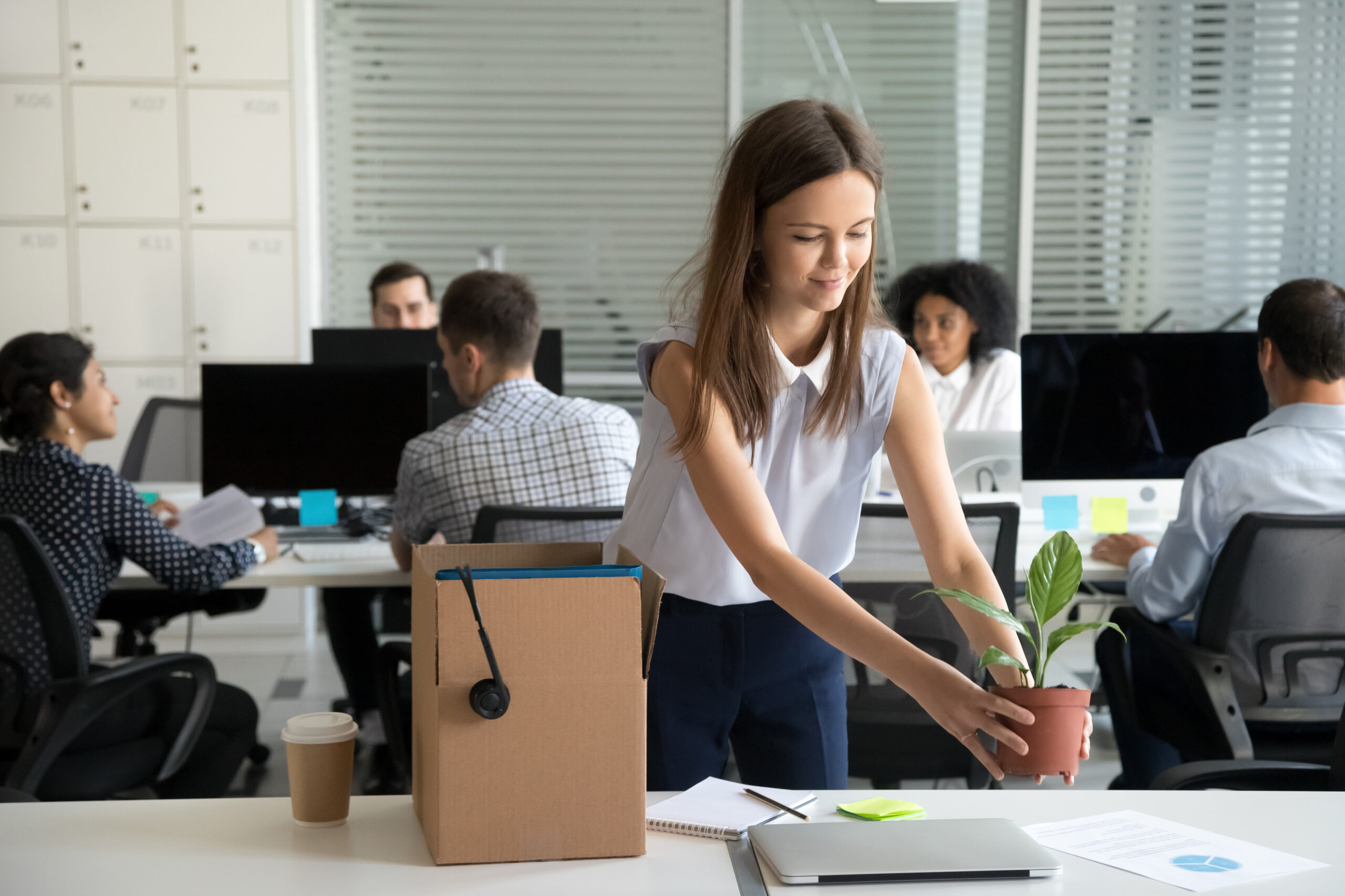 6 ways to start your career in sustainability