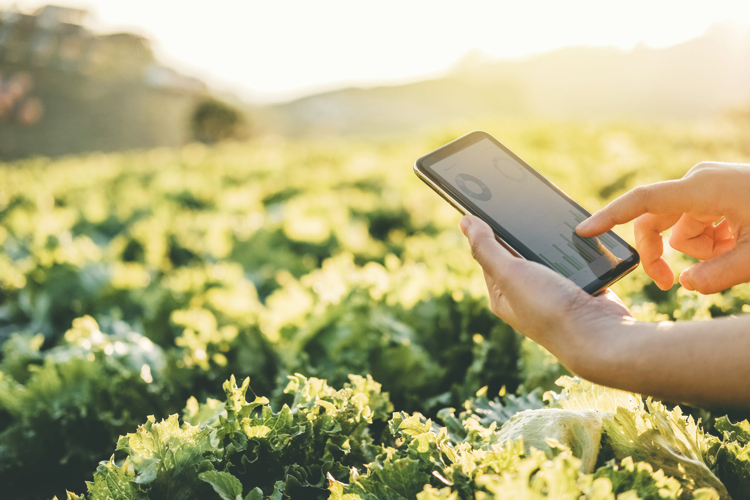 These are the 10 Hottest Climate Tech Startups to work for!