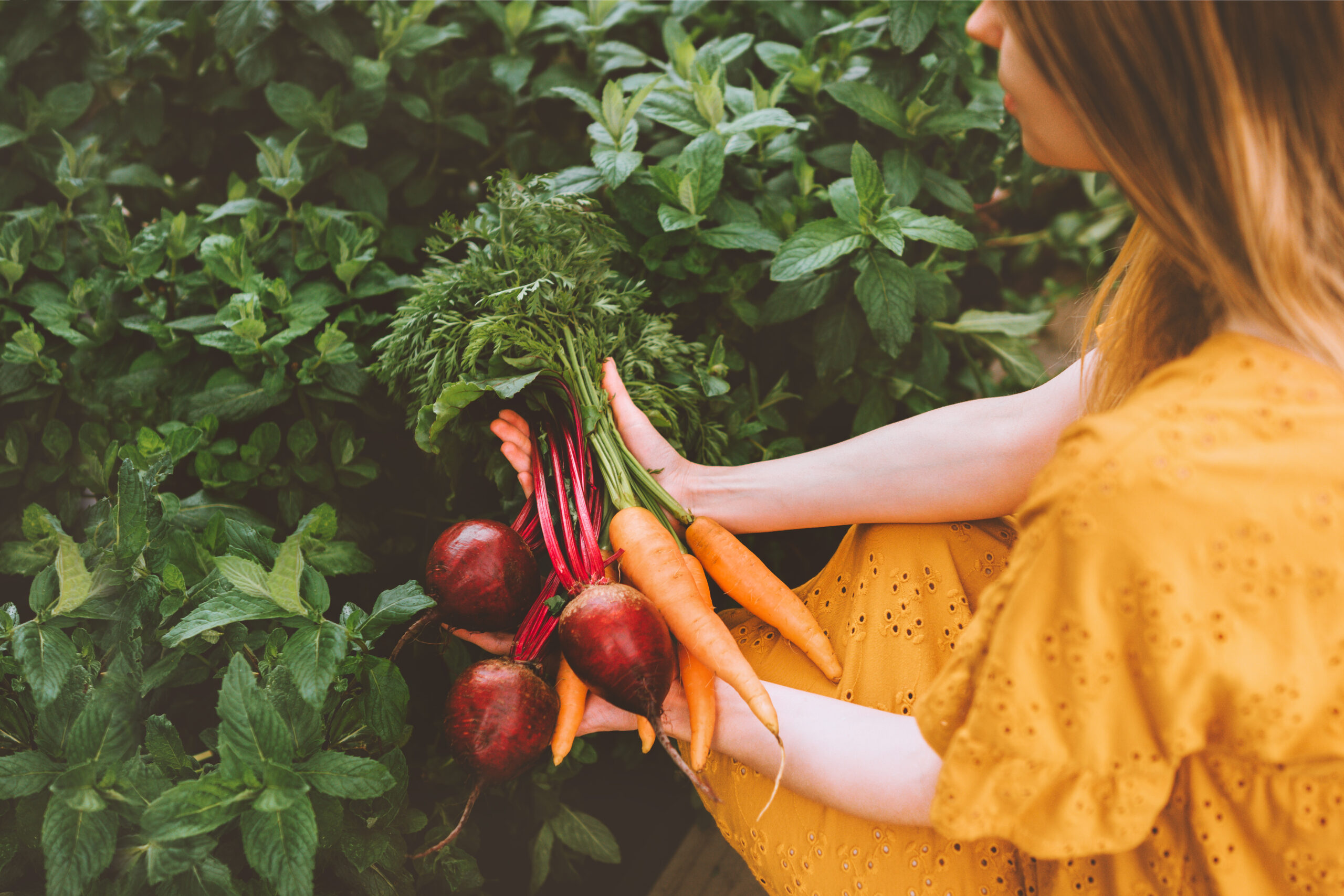 Companies that Make an Impact on Sustainable Food