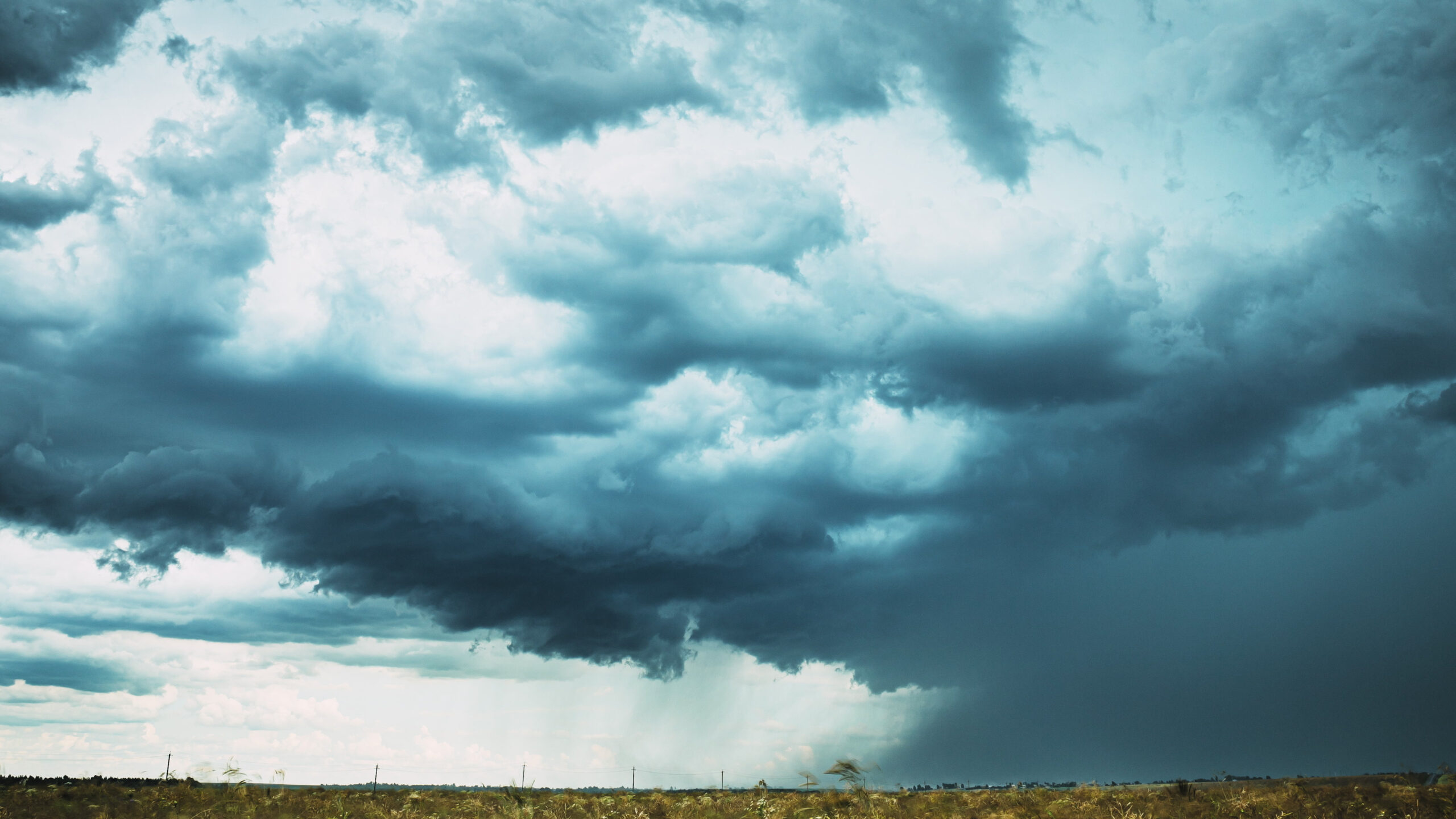 What is a Climatologist?