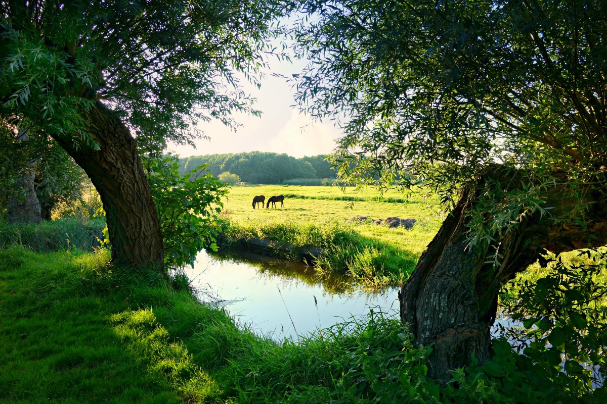 Duurzaam, ecologisch, CO2 neutraal of circulair?