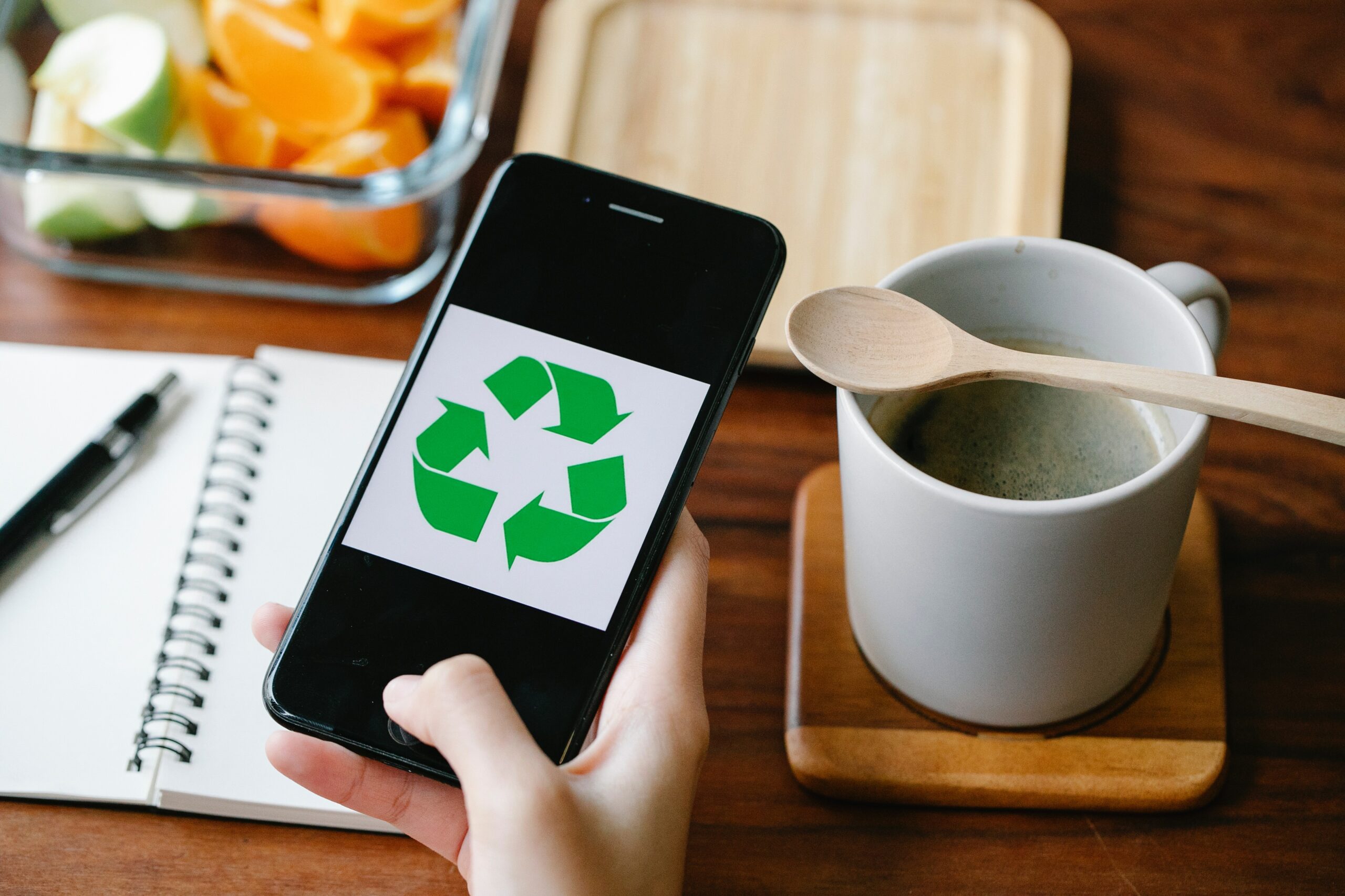 5 Sustainability Startups within the Netherlands to look for in 2023