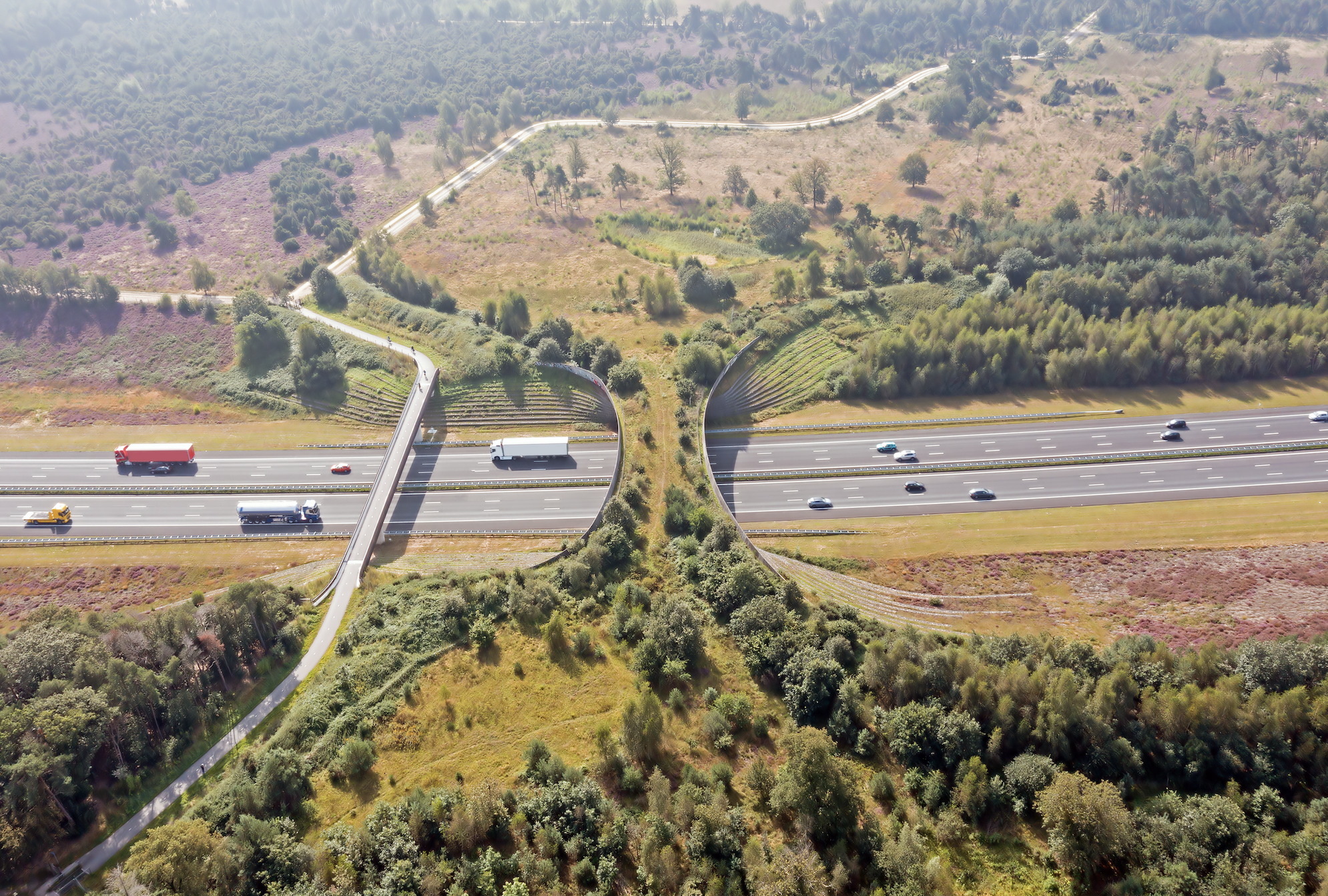Een lijst van 17 Ecologie Bedrijven in Nederland
