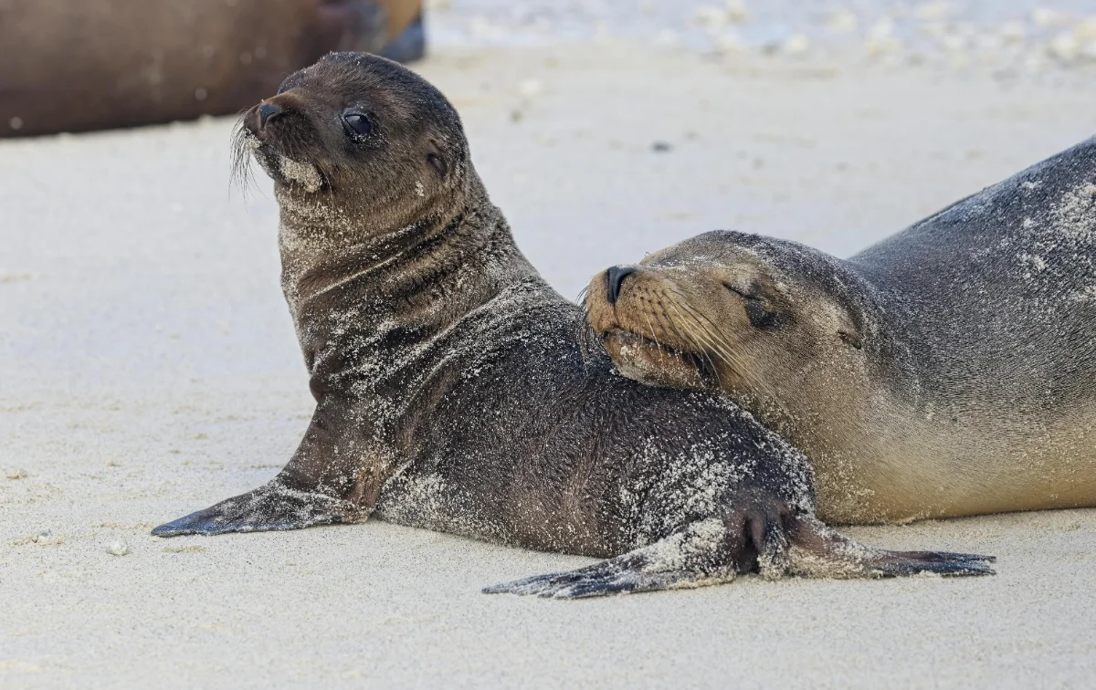 14 Natuurorganisaties die Nederland Mooi Houden
