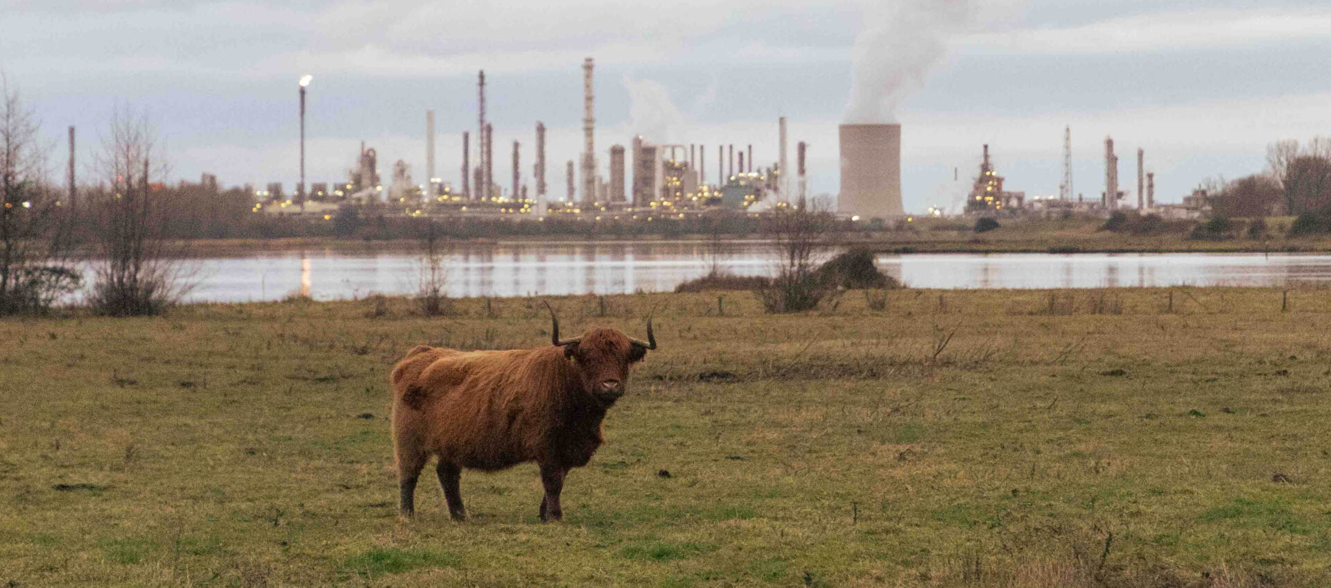 PFAS-rechtszaak tegen de staat: waarom deze zaak cruciaal is voor mens, milieu en toekomstig werk